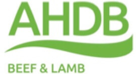 AHDB Beef and Lamb