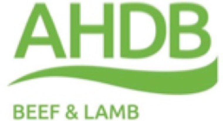 AHDB Beef and Lamb